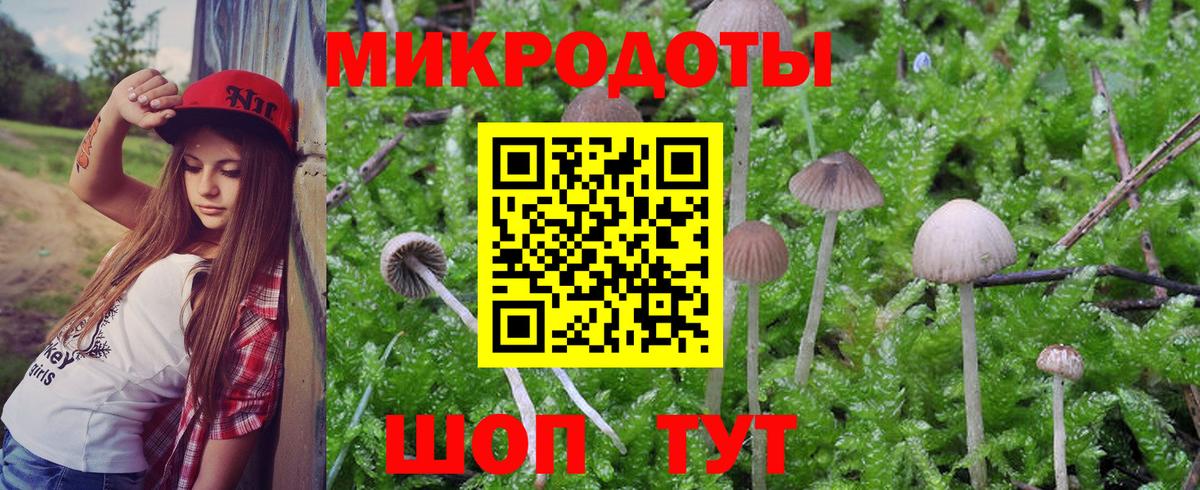 Псилоцибиновые грибы прущие грибы  наркота  Ростов Великий  Вход с VPN 