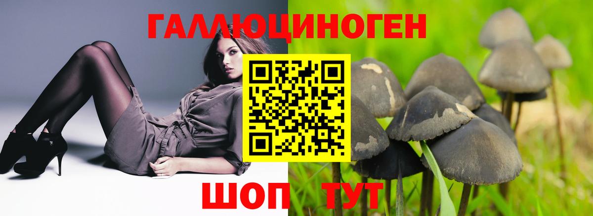 Псилоцибиновые грибы прущие грибы Ростов Великий